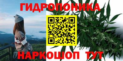 ALPHA PVP Шахты