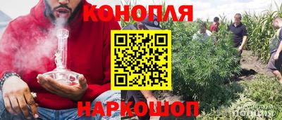 эйфоретик Шебекино