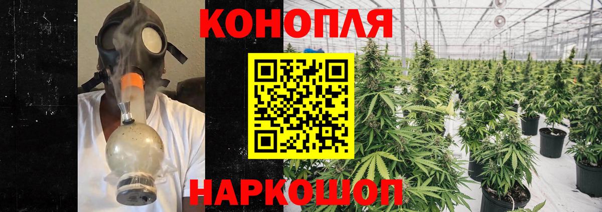 Гатчина  Шишки марихуана AK-47  Вход с VPN  Шишки марихуана White Widow  Каннабис White Widow  Канабис семена 